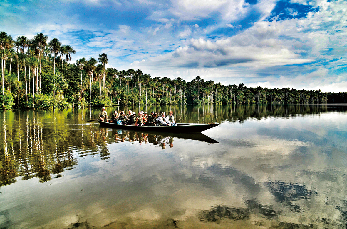 永嘉大嘴鳥假期深入亞馬遜上游雨林區